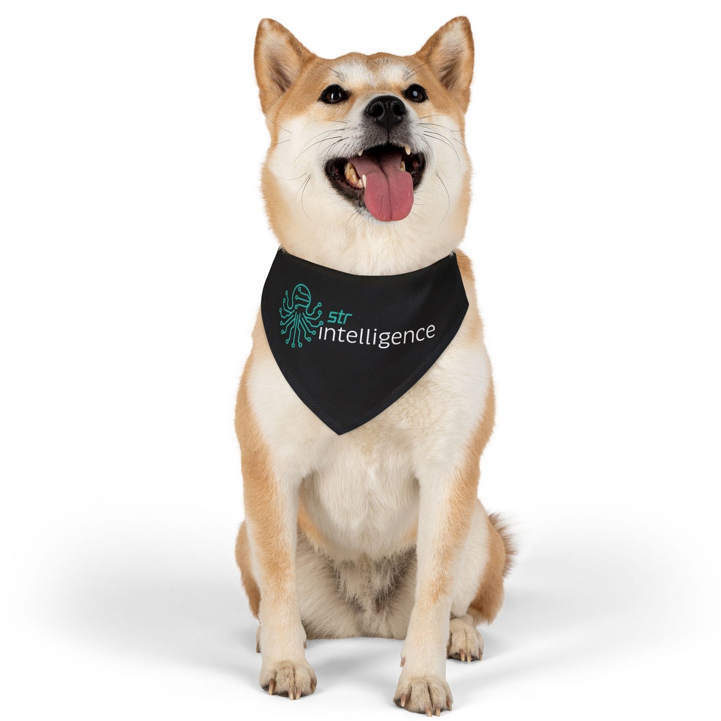 Pet Bandana Collar - Intelligence