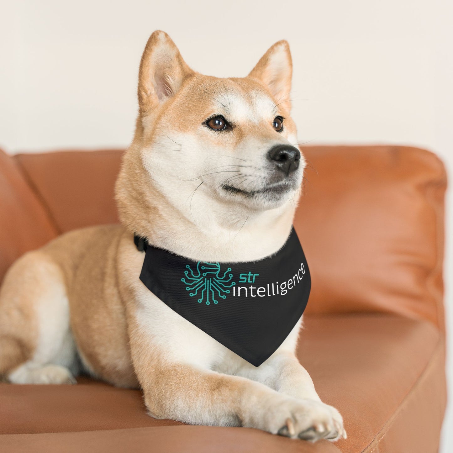 Pet Bandana Collar - Intelligence