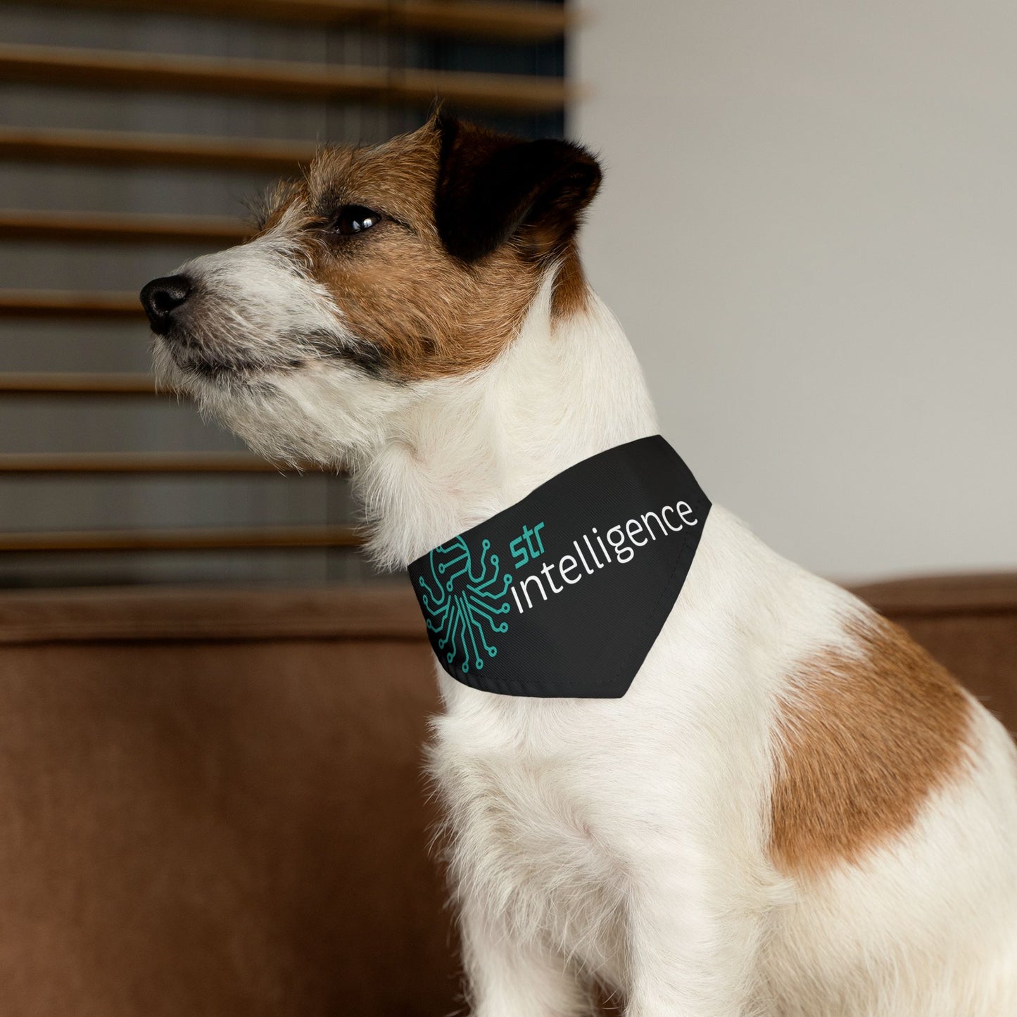 Pet Bandana Collar - Intelligence