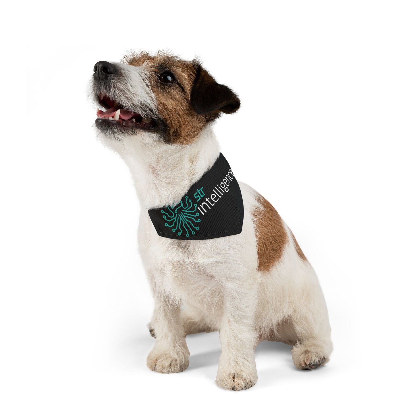 Pet Bandana Collar - Intelligence