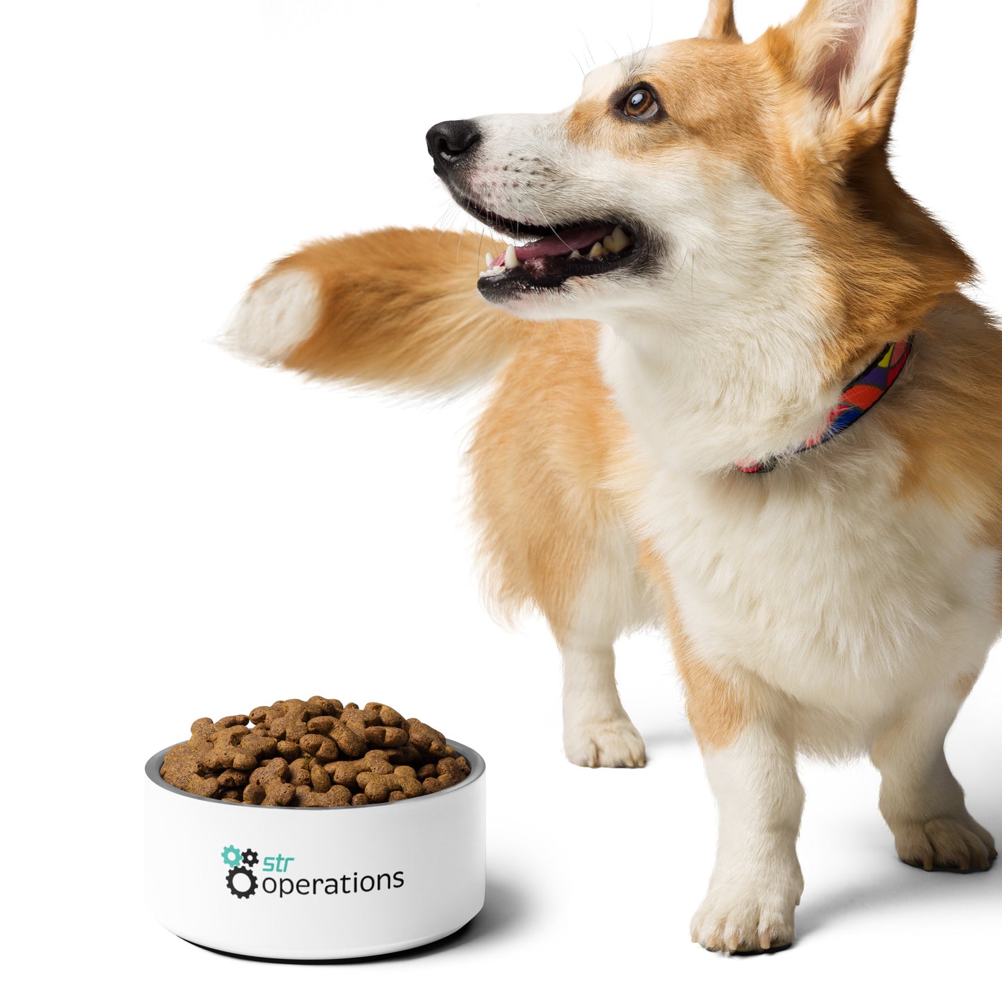 Pet bowl - Business Operations 2