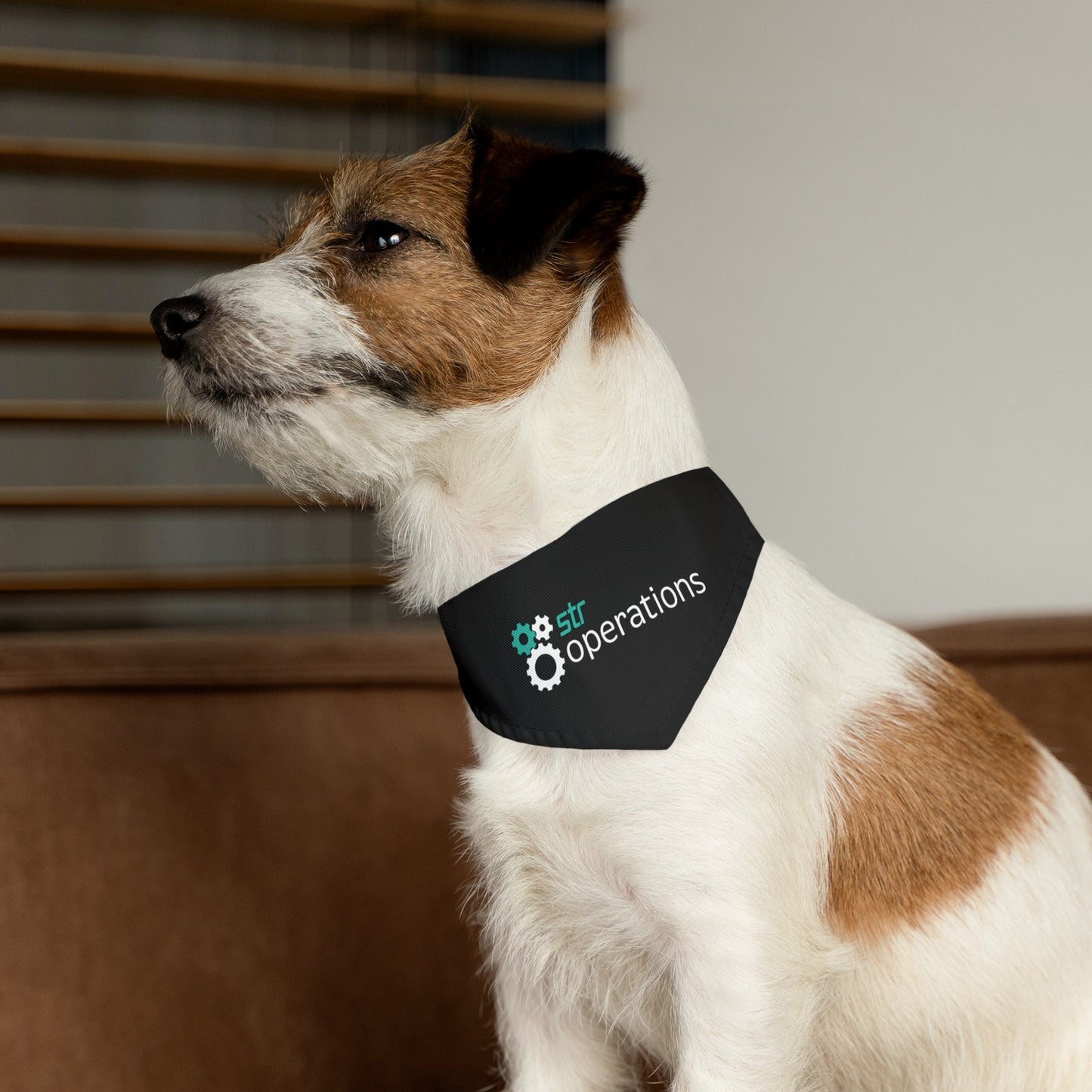 Pet Bandana Collar - Business Operations 2