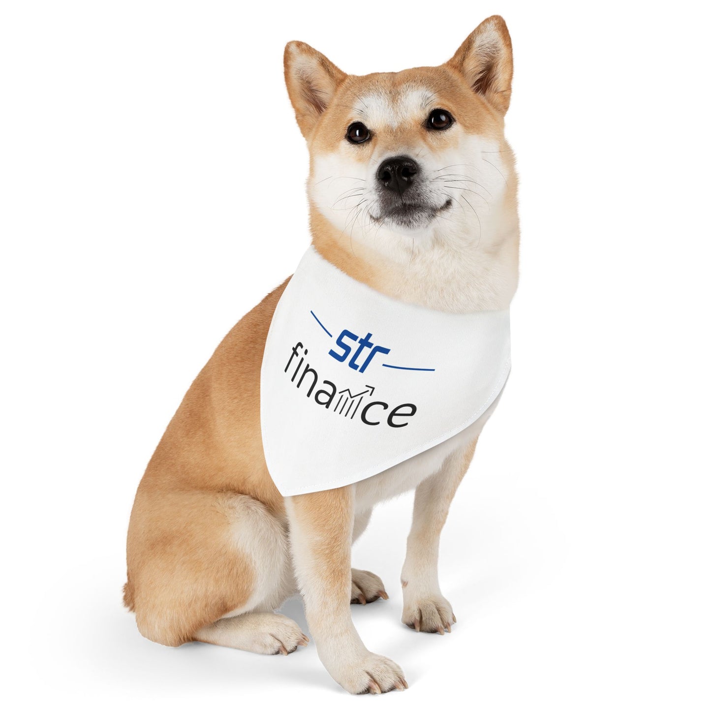 Pet Bandana Collar - Finance
