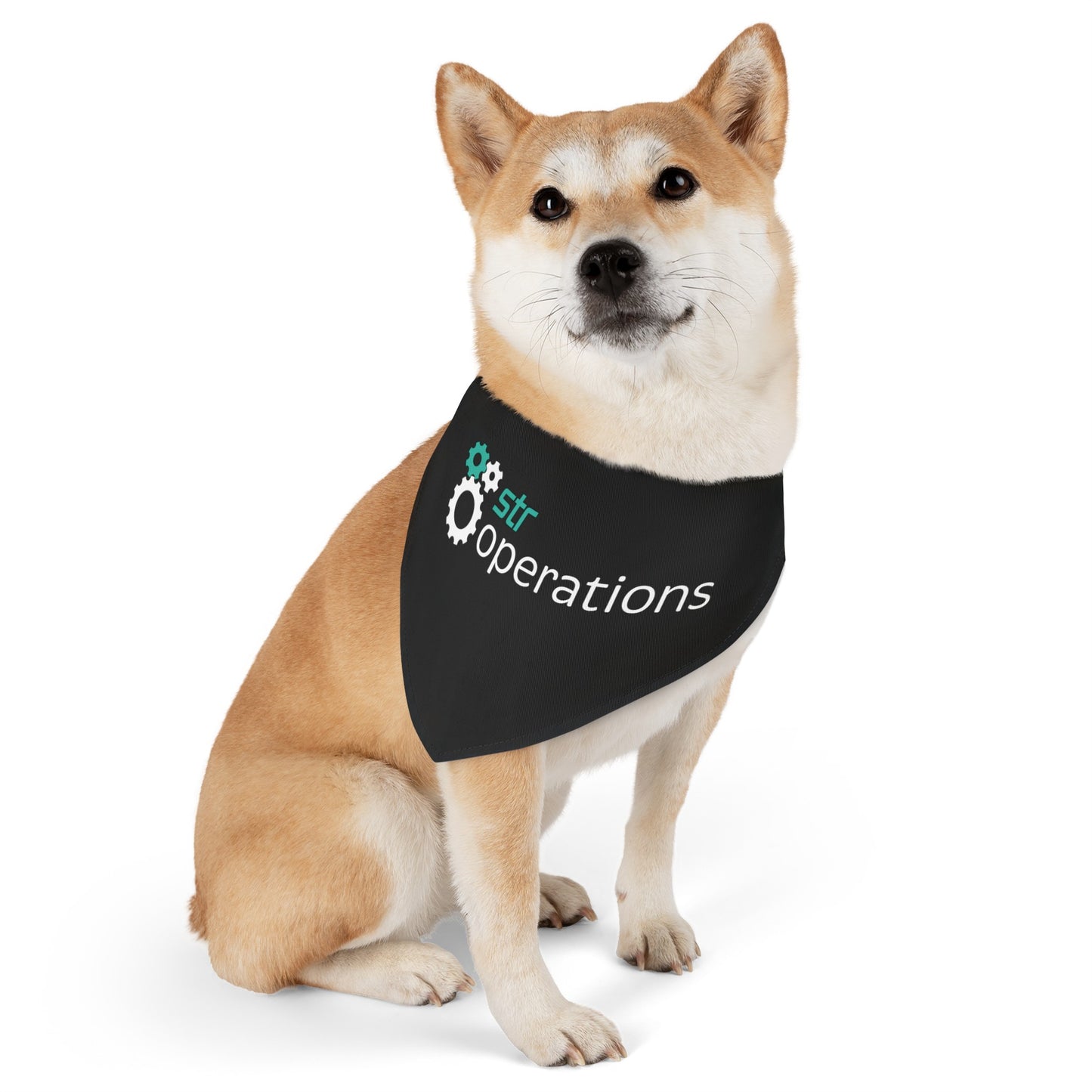 Pet Bandana Collar - Business Operations 2