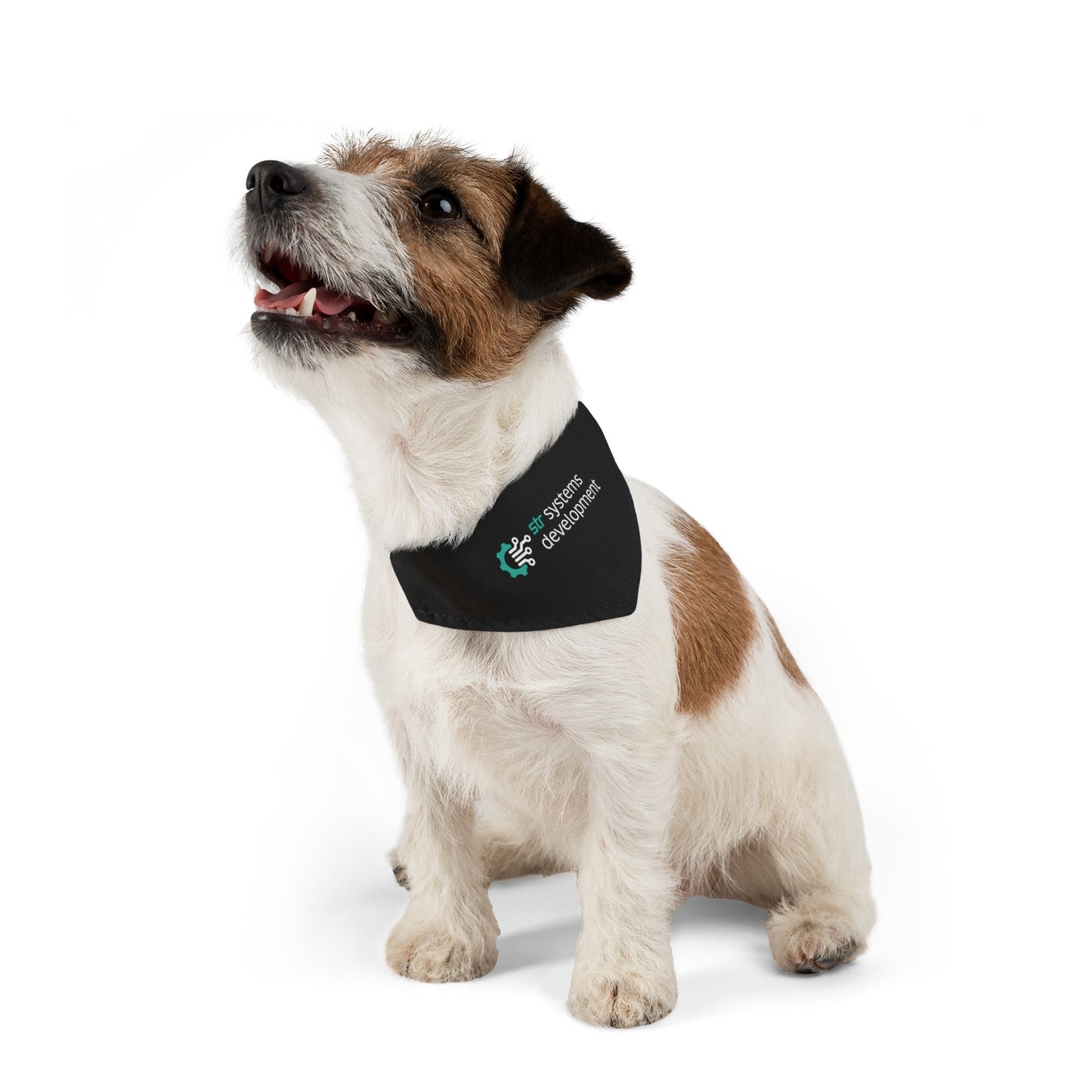 Pet Bandana Collar - SDD