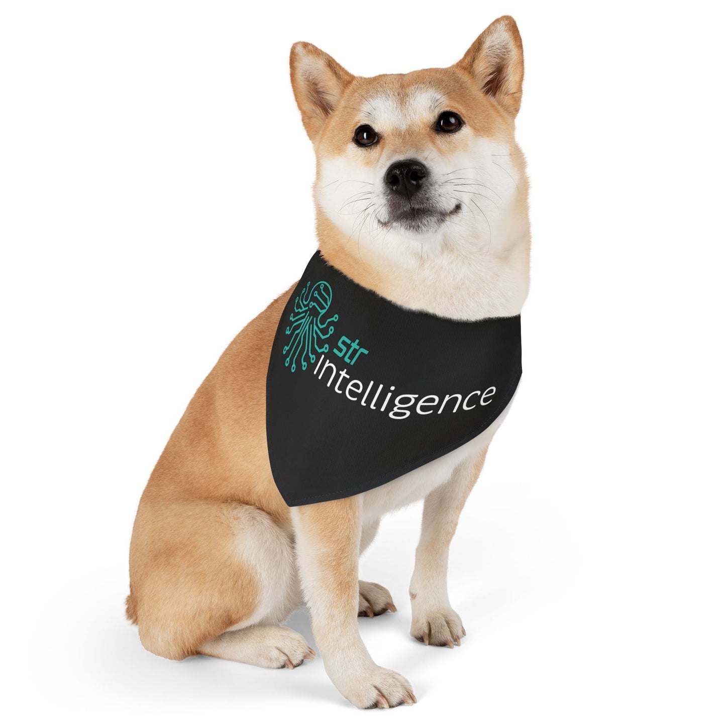 Pet Bandana Collar - Intelligence