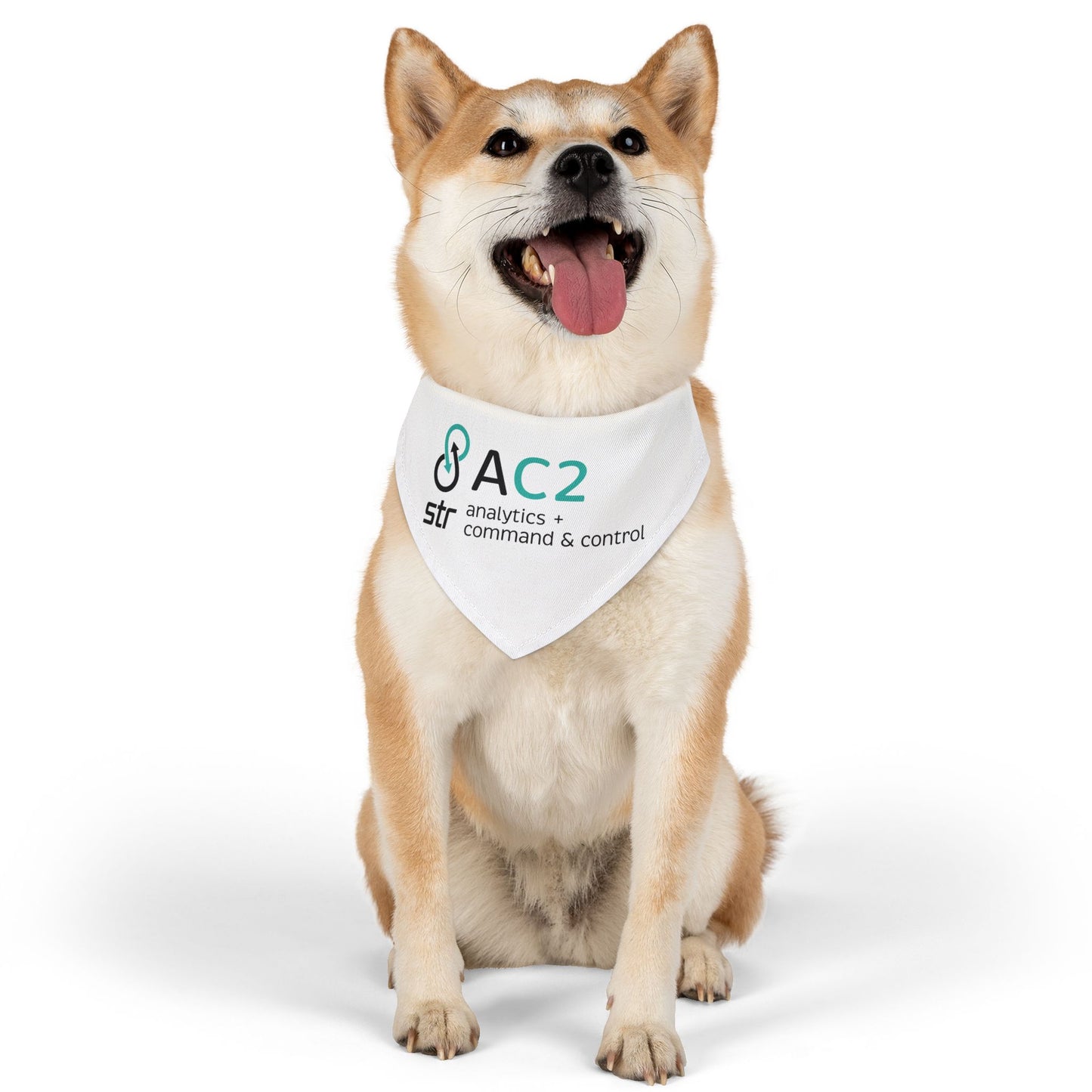 Pet Bandana Collar - Analytics