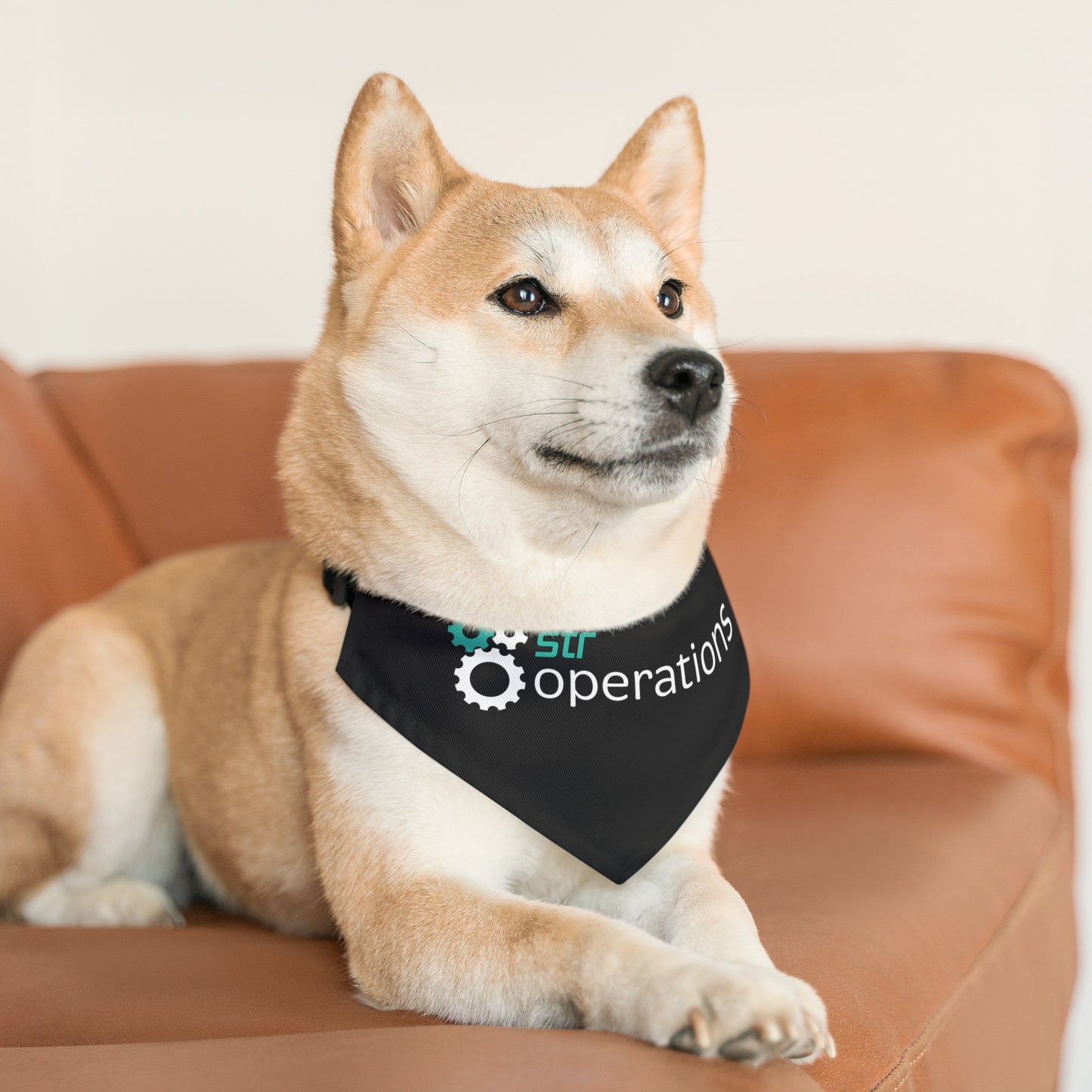 Pet Bandana Collar - Business Operations 2