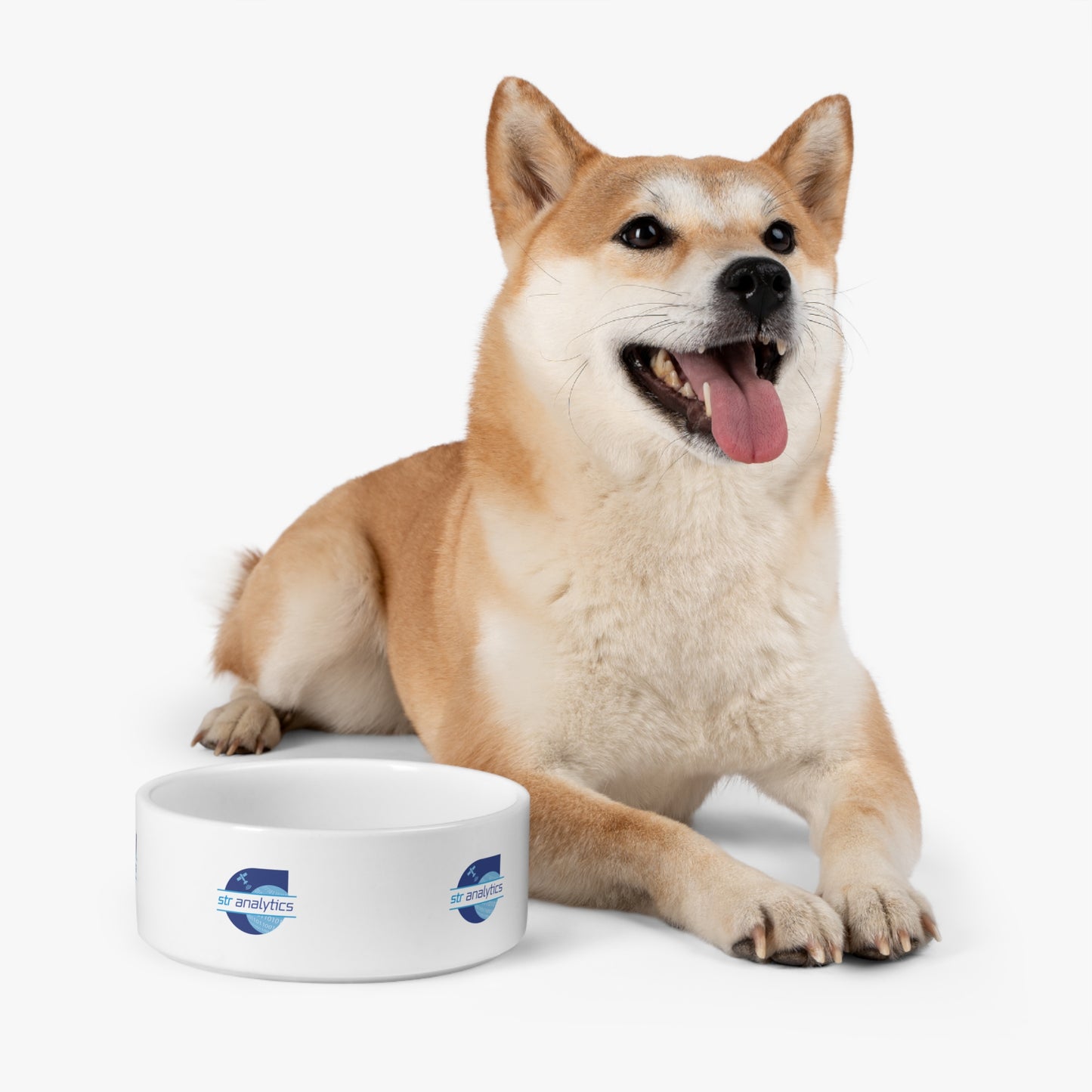 Pet Bowl - Analytics