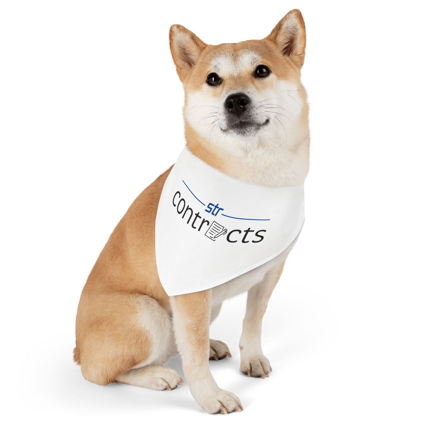 Pet Bandana Collar - Contracts