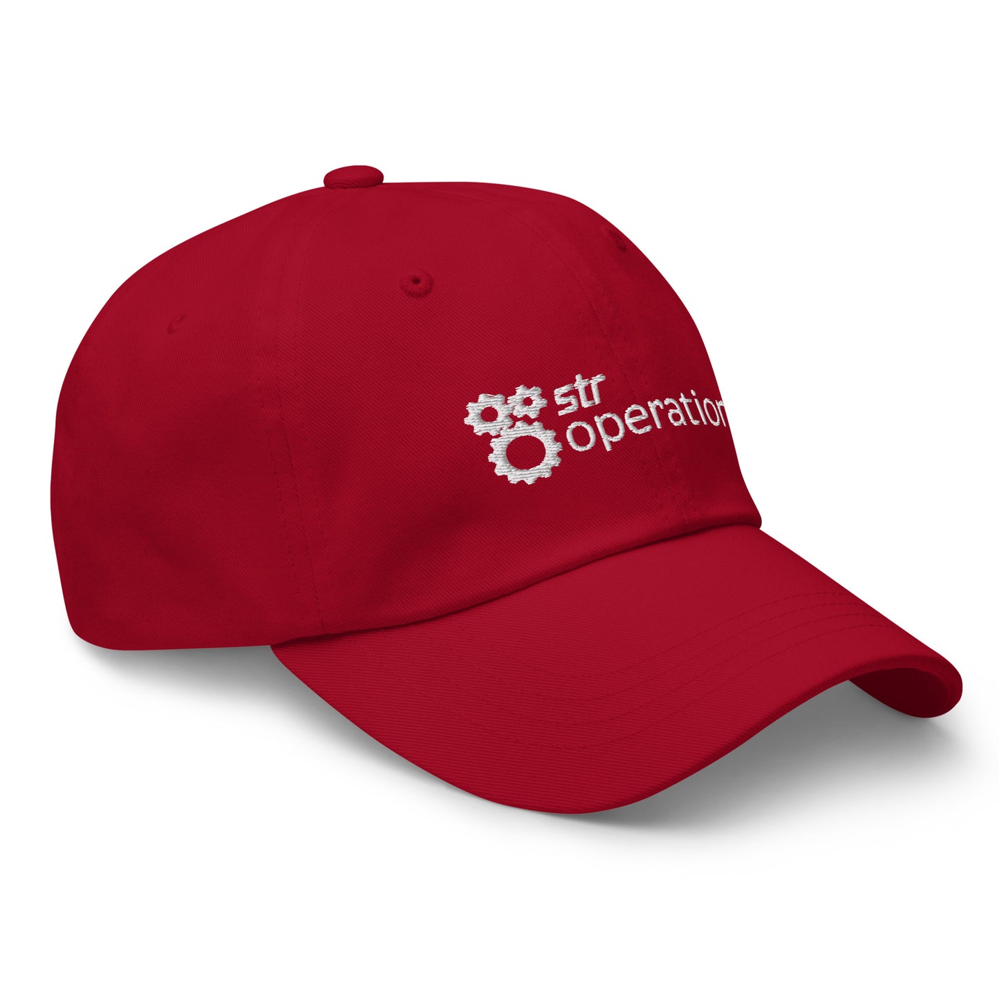 Classic Dad Hat (embroidered) - Business Operations 2