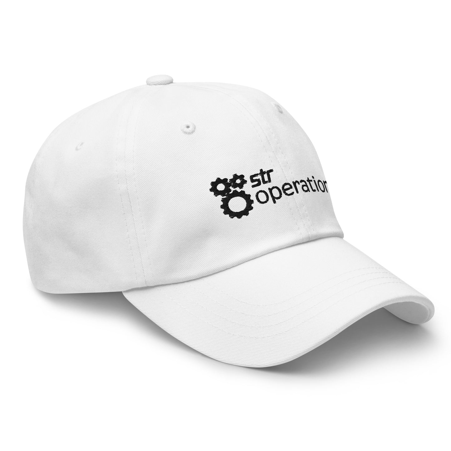 Classic Dad Hat (embroidered) - Business Operations 2