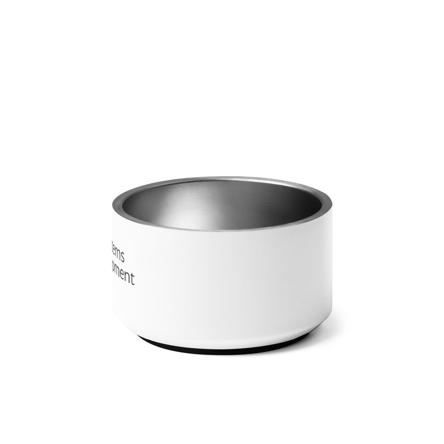 Pet bowl - SDD