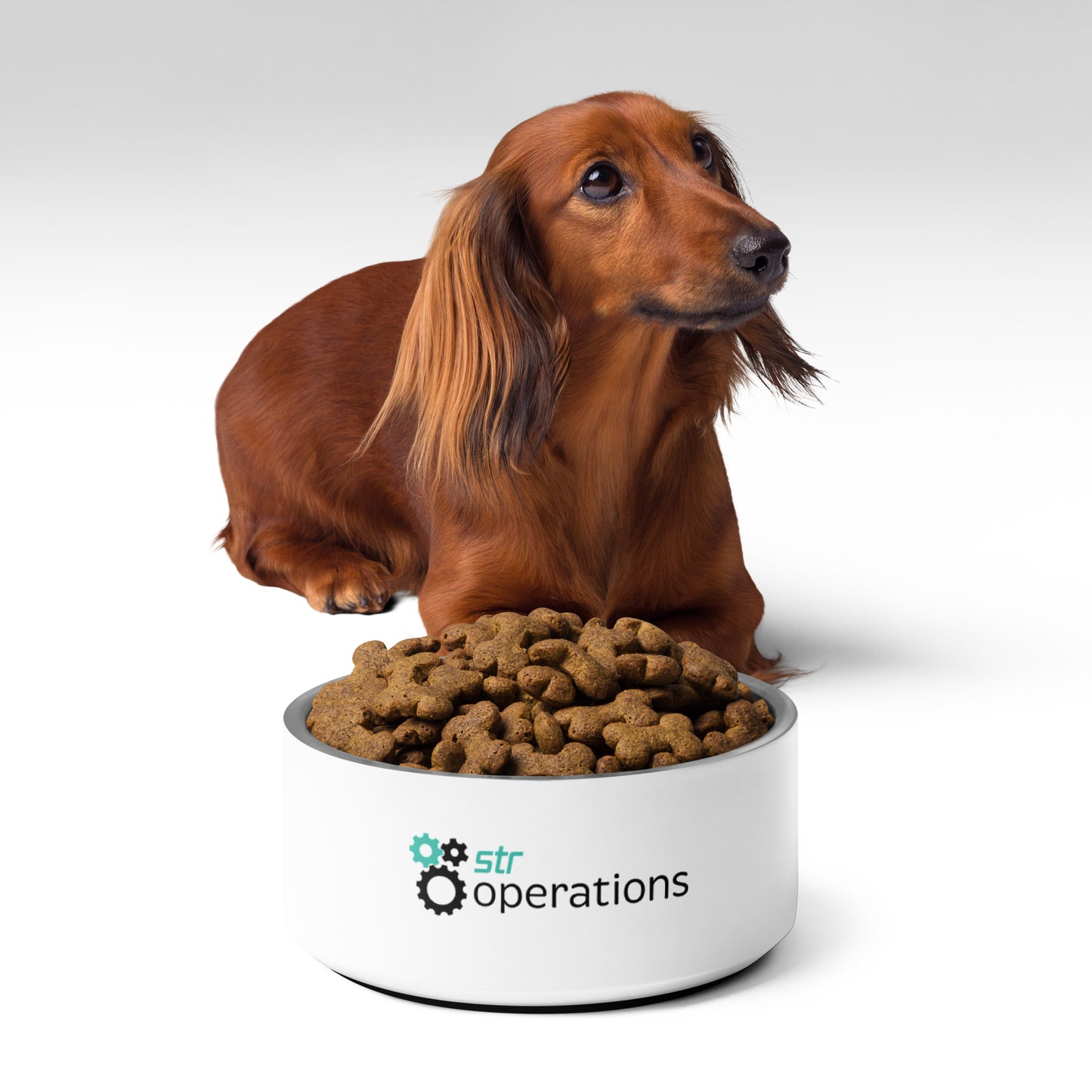 Pet bowl -  Business Operations 2