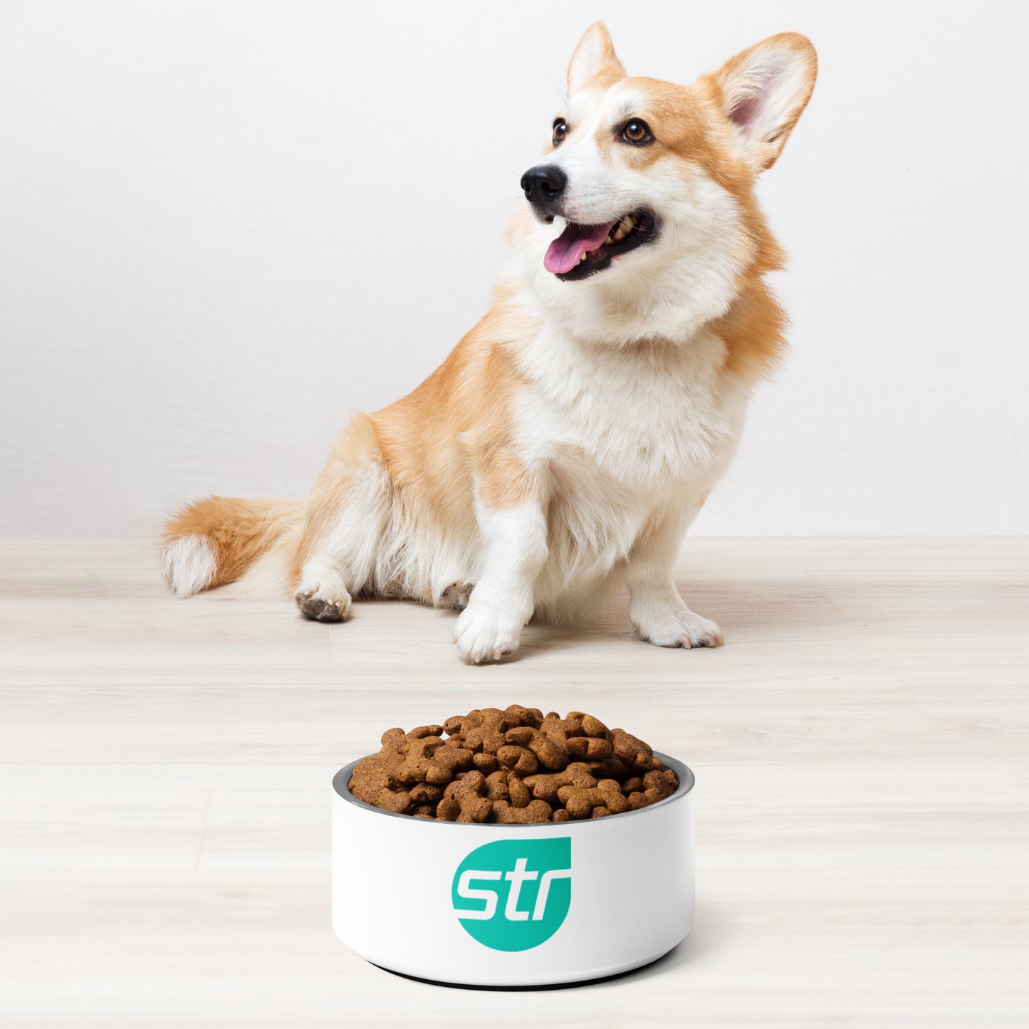 Pet bowl - STR