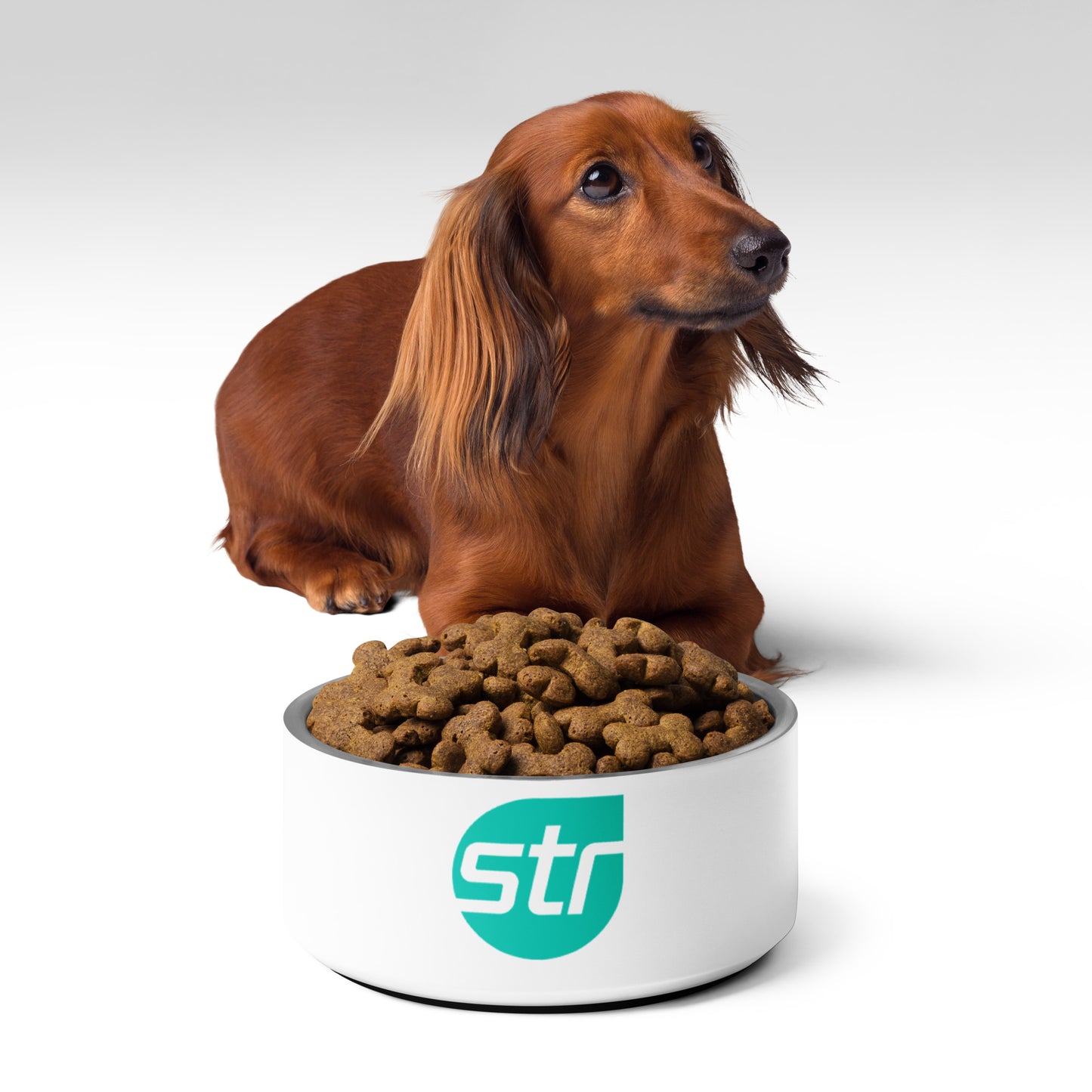 Pet bowl - STR