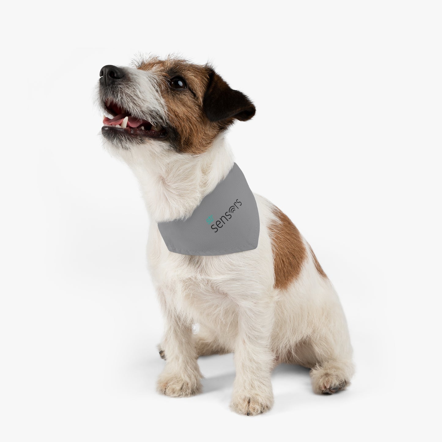 Pet Bandana Collar - Sensors