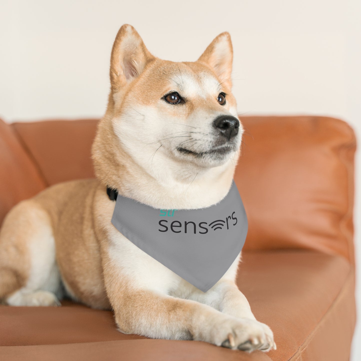 Pet Bandana Collar - Sensors